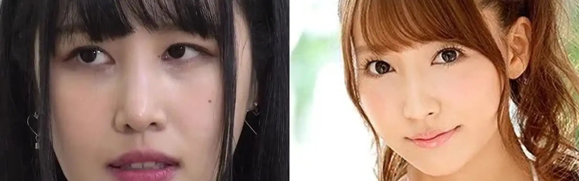 热播电视剧全集手机免费在线观看